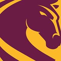 Brisbane Broncos