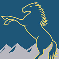 Brumbies